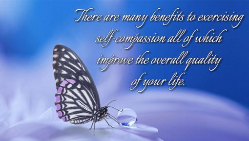 Butterfly-600×400-R10